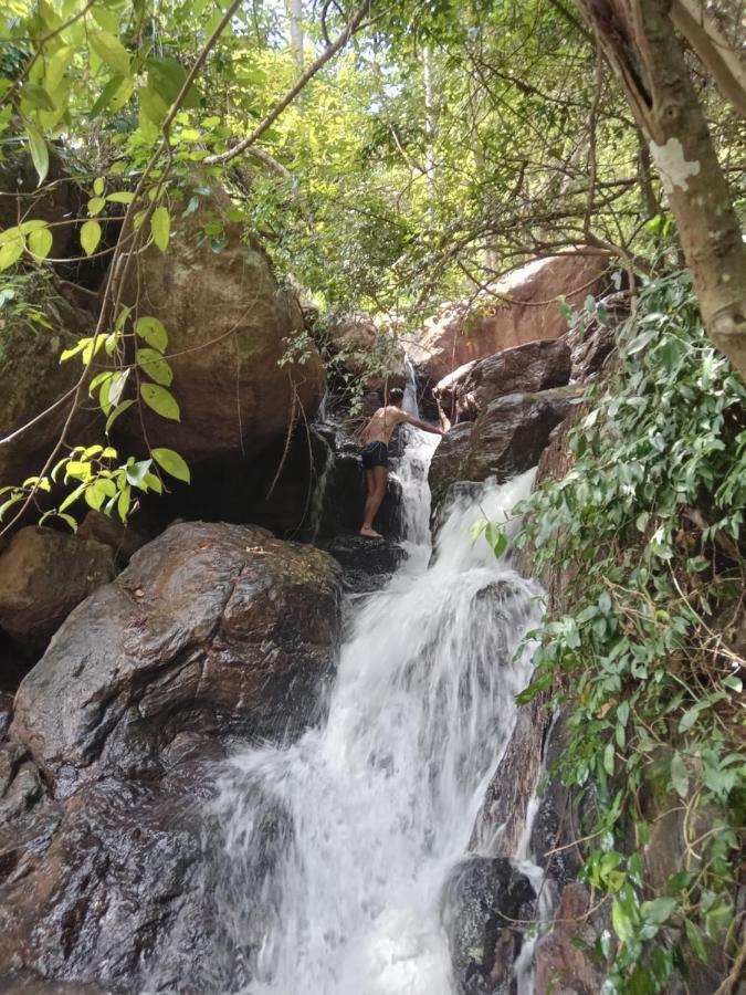 Jungle Village Homestay Pinnawala  Buitenkant foto