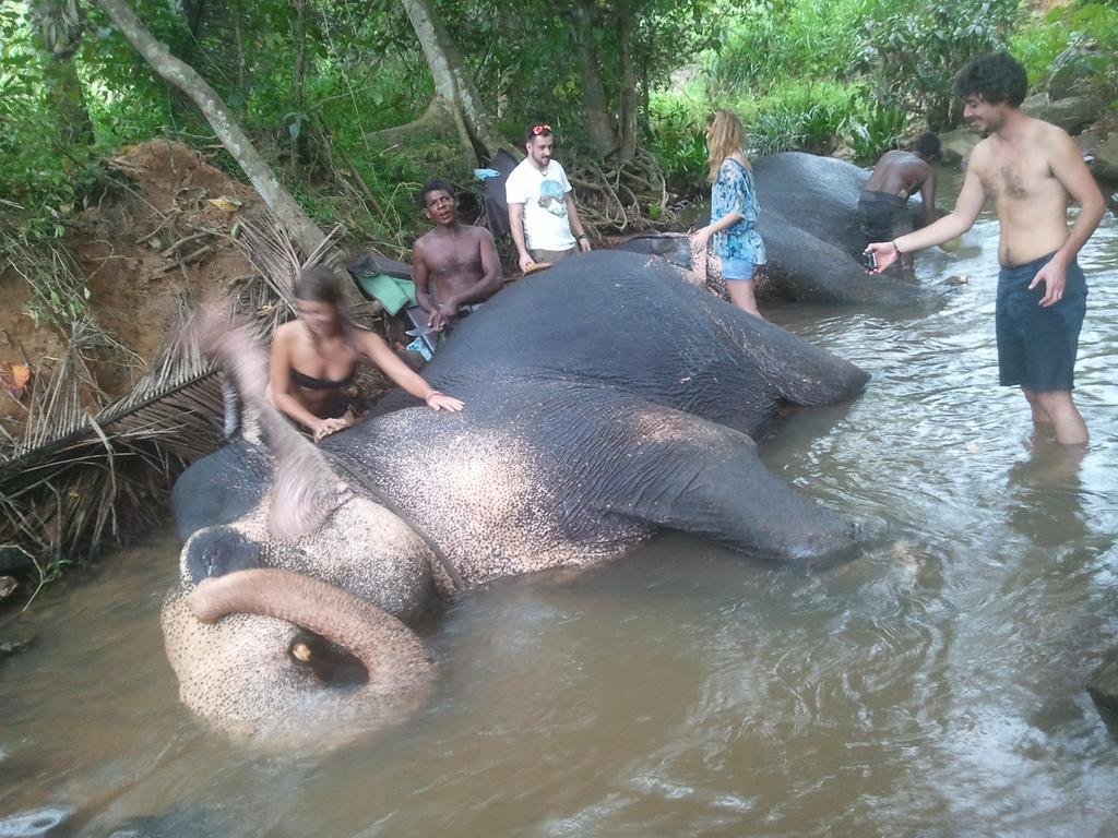 Jungle Village Homestay Pinnawala  Buitenkant foto