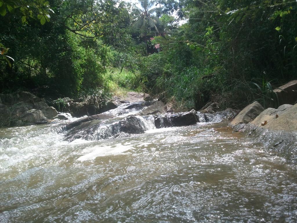Jungle Village Homestay Pinnawala  Buitenkant foto