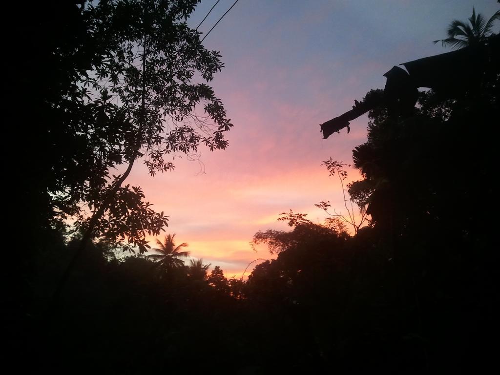 Jungle Village Homestay Pinnawala  Buitenkant foto