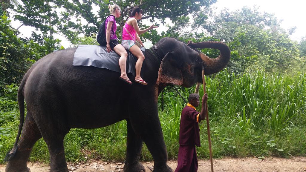 Jungle Village Homestay Pinnawala  Buitenkant foto