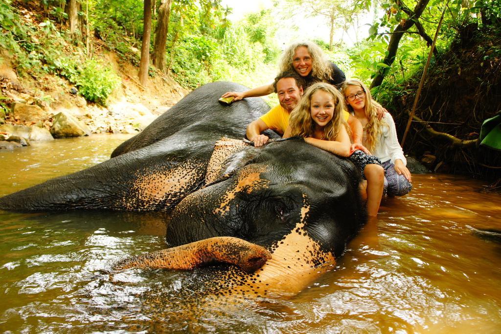 Jungle Village Homestay Pinnawala  Buitenkant foto